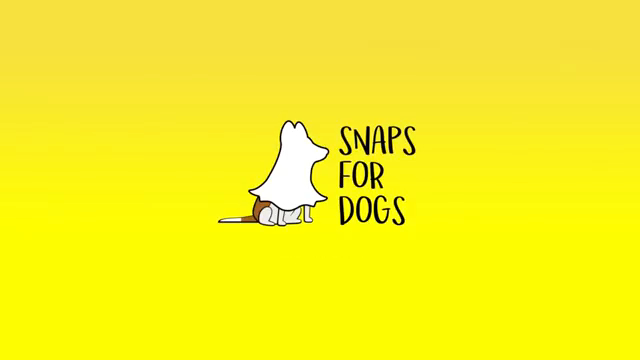 Caso Snaps For Dogs
