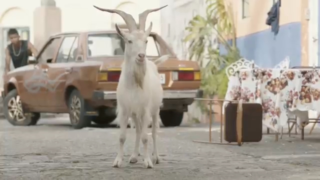 Angry Goat