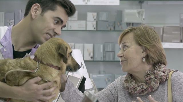Farmacia da felicidade