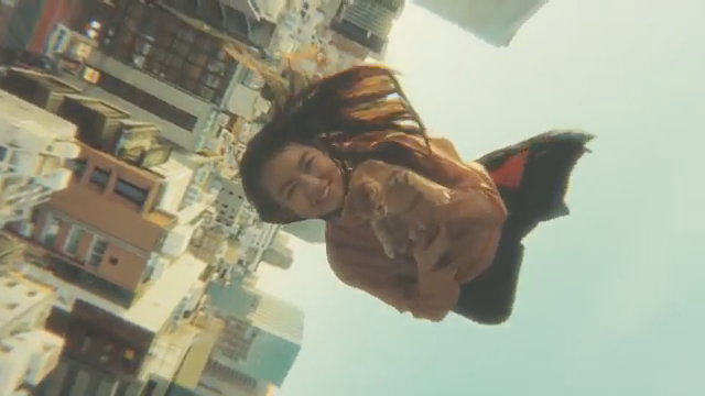 Gravity Cat