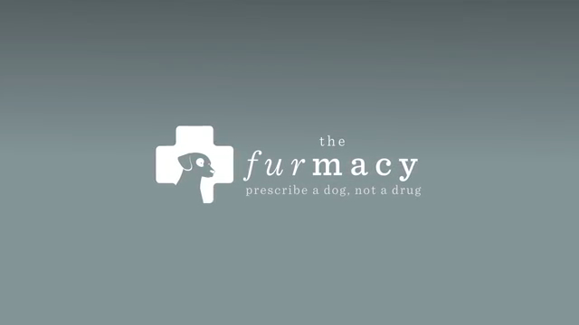 Caso The Furmacy