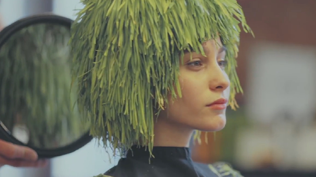 The Hair Gardener