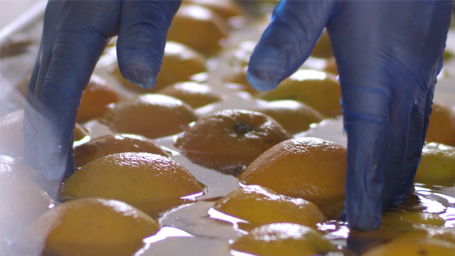 Delizia Ice Fruit