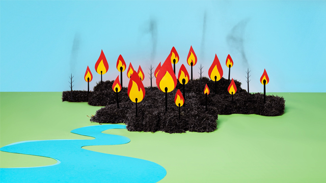 Matches that save forests