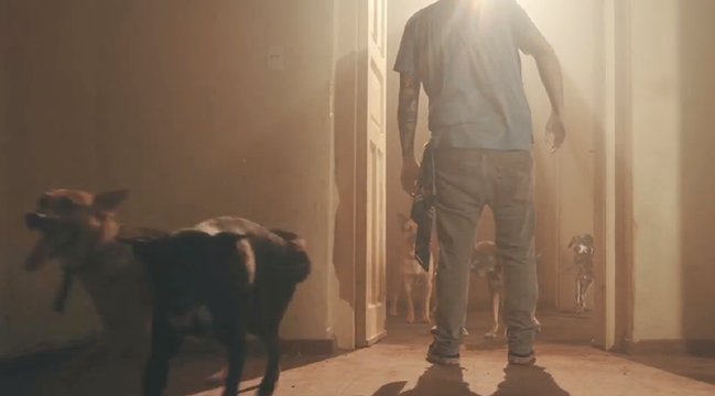 Clip #PunkdelosPerros