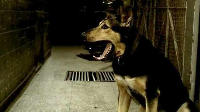 Bostezo (Gran Ojo Cine/TV 2001 - El Ojo 20 Años)