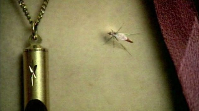 Metamorfosis (Gran Ojo Cine/TV 2002 - El Ojo 20 Años)