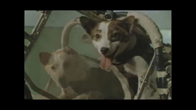 Trailer Tras los Pasos de Strelka