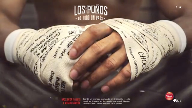 Caso Los Puños de un País