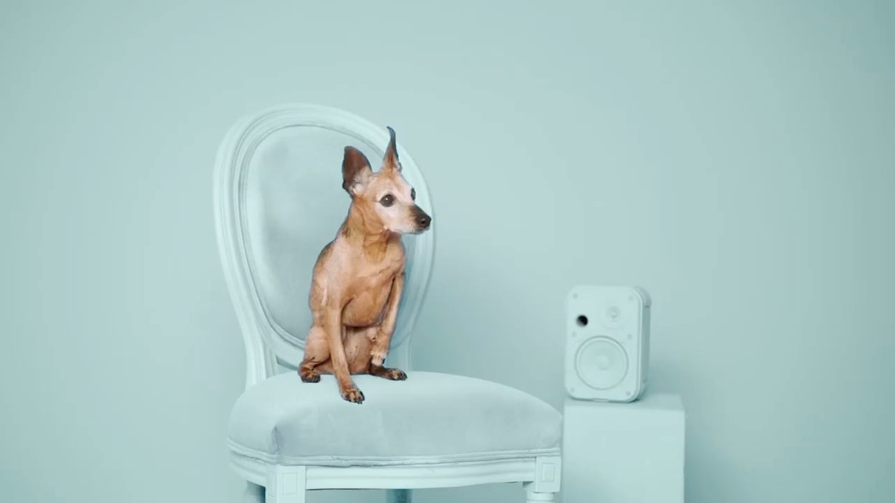 Gloria