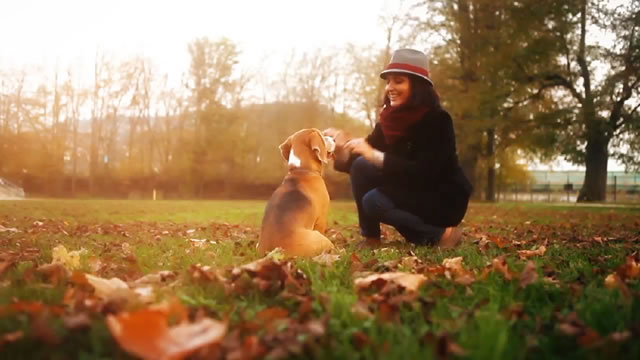 Petsonal Trainer