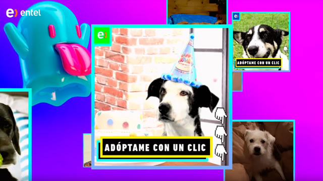 ADOPTGIF