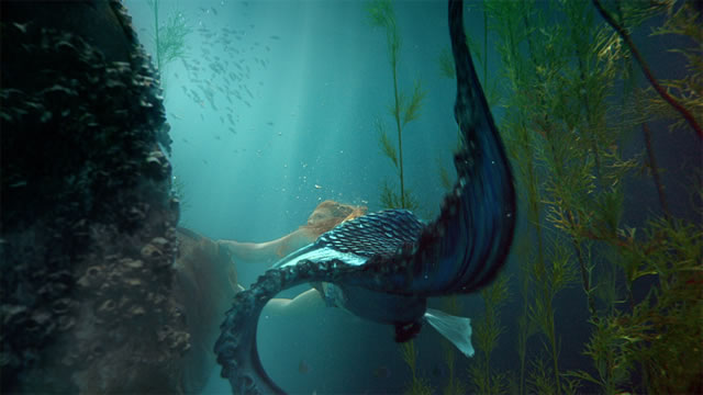 Sereia