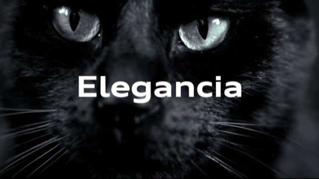Welcome to black
