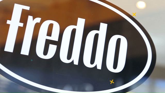 Caso - Chat Freddo