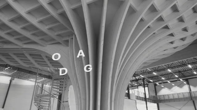 DOGA Visual Identity