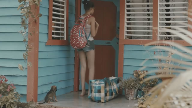 La peor novela