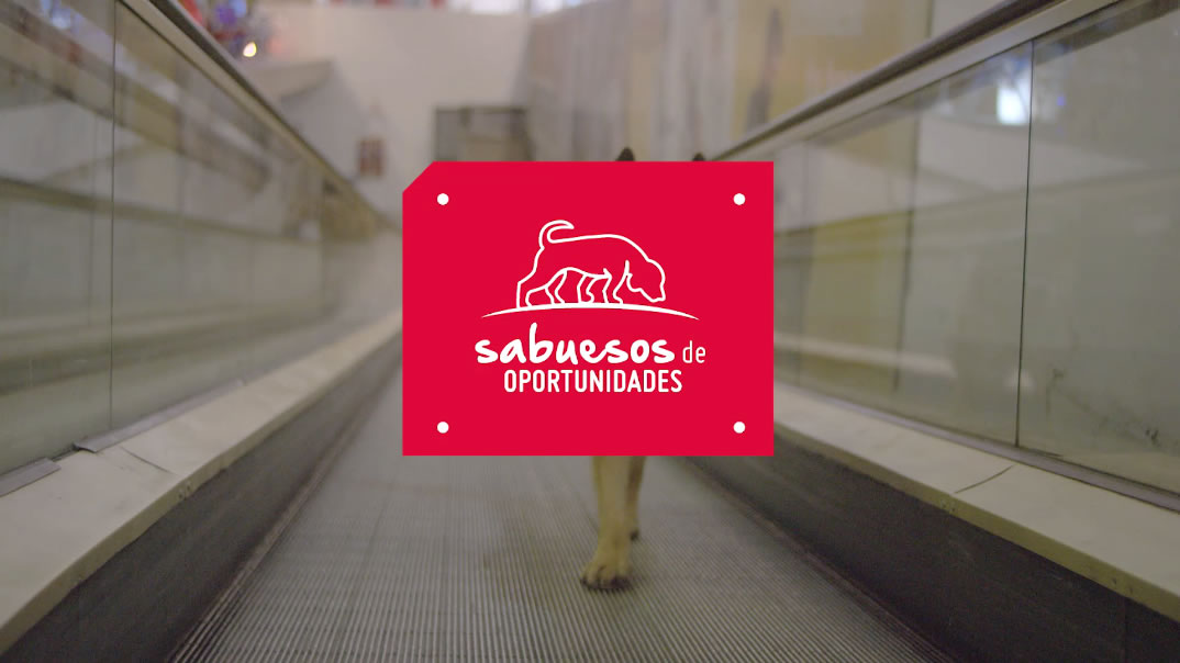 Sabuesos de oportunidades