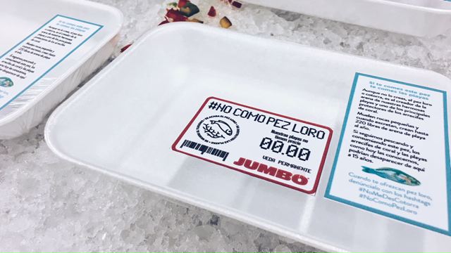Caso Pez Loro (versión inglés)