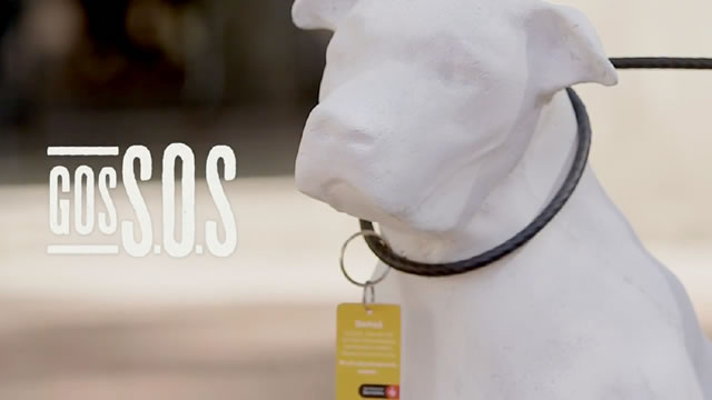 Caso - GosSOS
