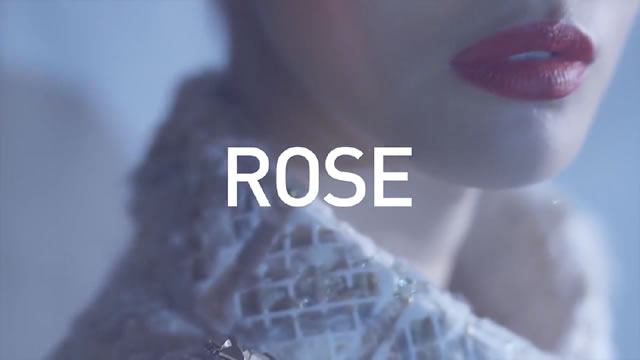 Rose, The Hotel Chatbot