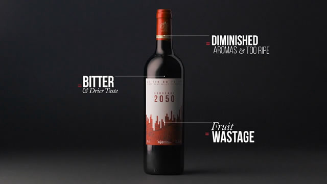 BORDEAUX 2050