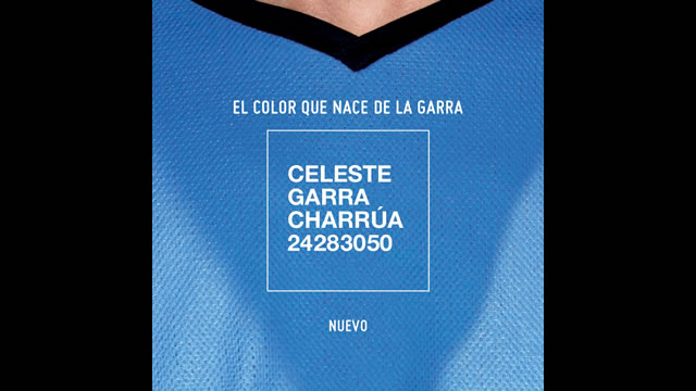 Celeste Garra Charrúa 24283050