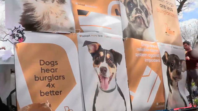Adopt Protection
