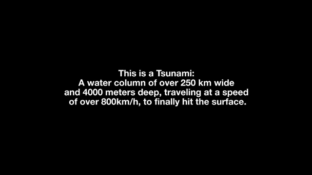 Tsunami