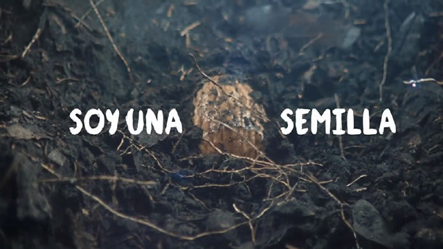 Soy una Semilla
