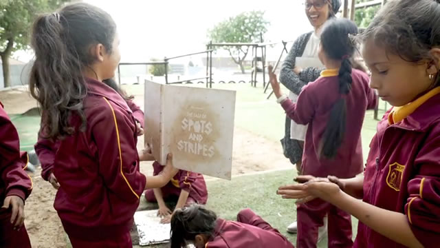 The Tale of Spots & Stripes