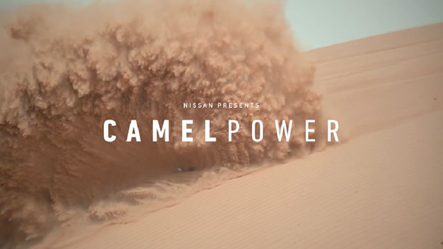 CamelPower