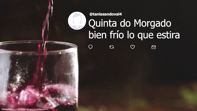 Quinta do Morgado