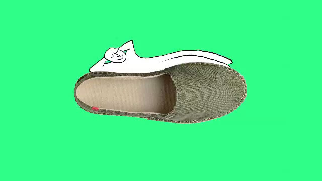 Havaianas Art by Gola 3
