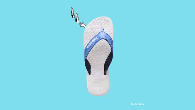 Havaianas Art by Gola 5