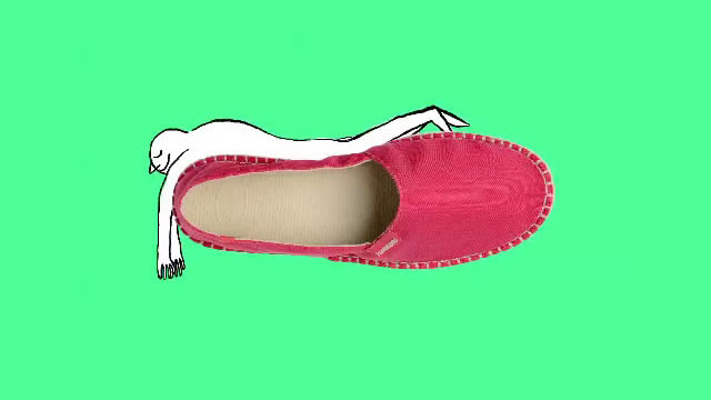 Havaianas Art by Gola 7