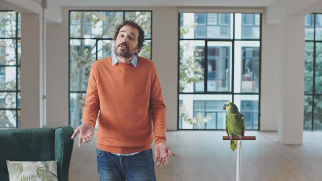 Decoración Loro