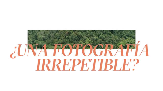 ¿Una fotografía irrepetible? - Borneo 2018