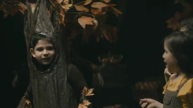 Niño Árbol