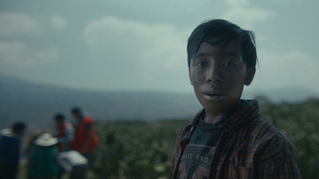 Survivors (El Ojo 2018)