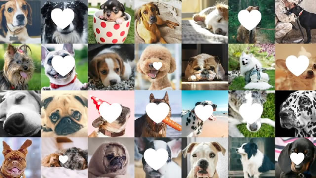 #PetMe