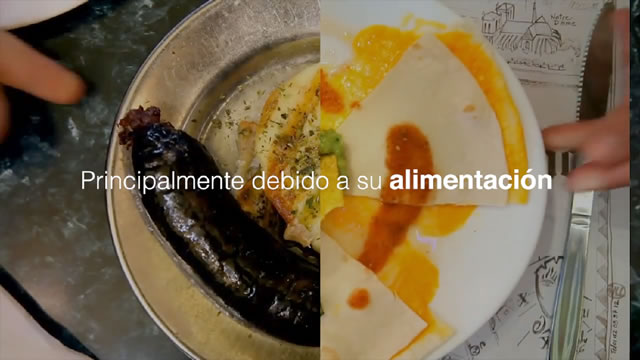 Caso - Café Cardiosmile