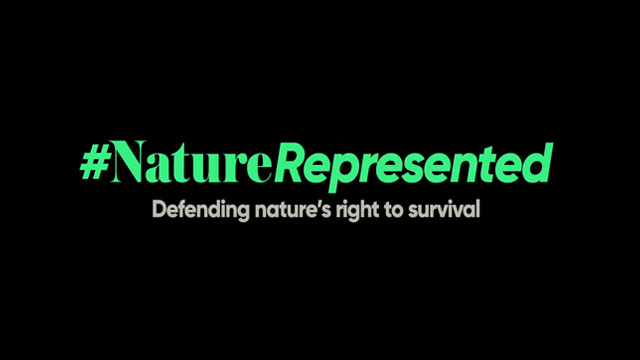 Nature Represented (El Ojo 2018)