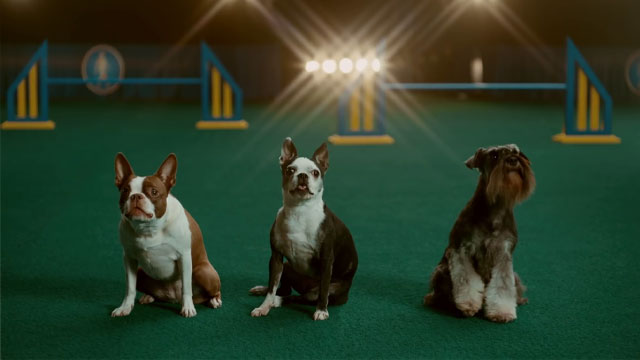 Chorus - Big Game Teaser