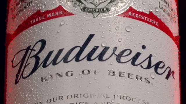 We Brew Birra - Preguntas