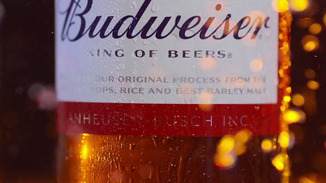 We Brew Birra - Beechwood