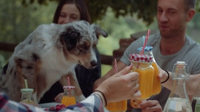 Tu perro hace mucho por vos. Vos podes hacer mucho por tu perro
