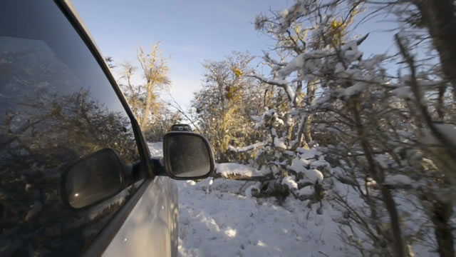 Amarok Experto - Tierra del Fuego