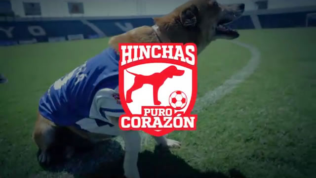 Hinchas Puro Corazón
