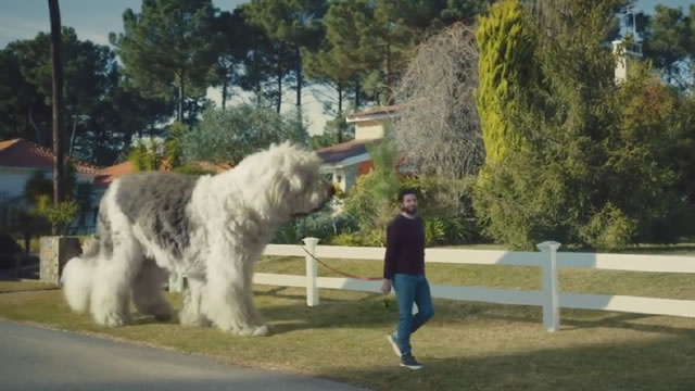 Doug The Dog